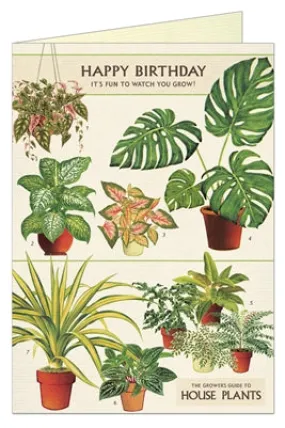  Happy Birthday House Plants  Card