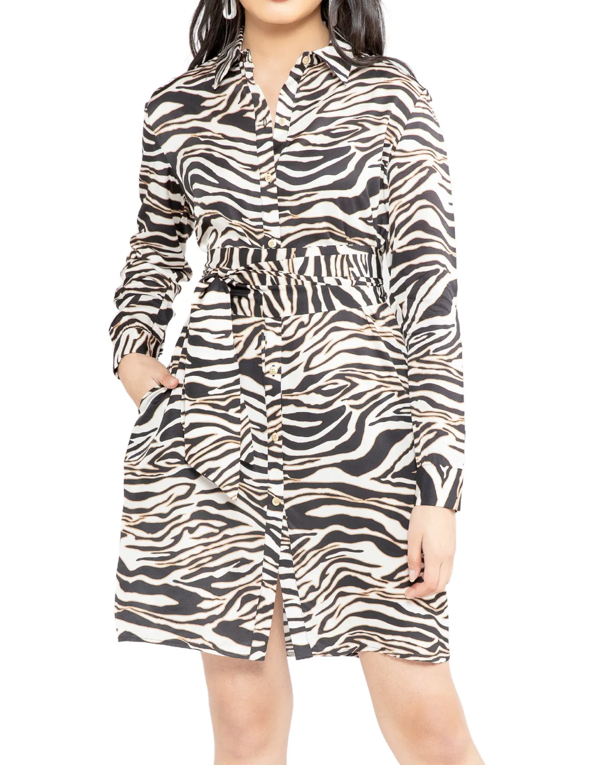 Janet Zebra Dress